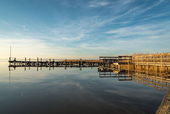 Der Neusiedler Steppensee