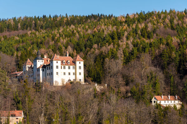 Schloss im herbstlichen Wald mit den Wohngebäuden