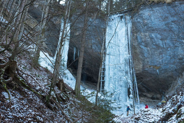 Alice im Wunderland, künstliche Eiskletterwand, Eisvorhang, im Tiefenbachgraben bei St. Erhard