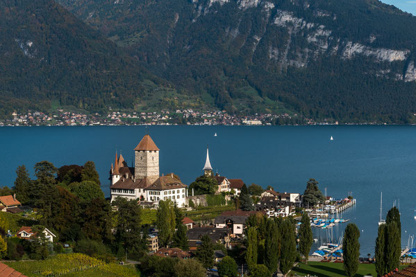 Thuner See mit Schloss Spiez