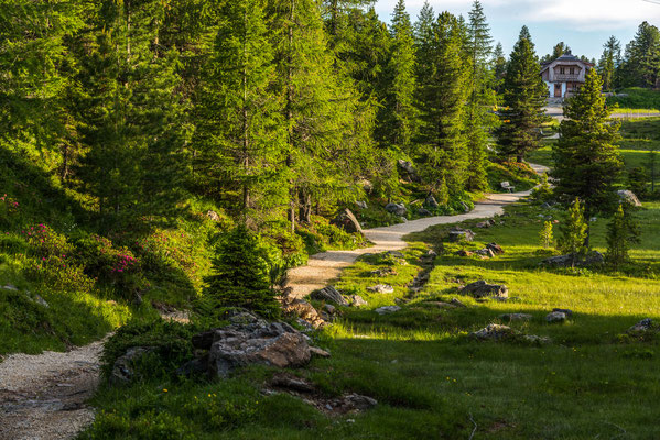 3 Seen Wanderung Turracher Höhe