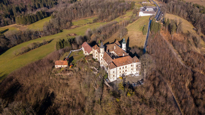 Schloss Freiberg bei Gleisdorf Flughöhe ca. 110m.