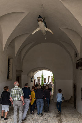 Zugang zum alten Schlossteil mit Haifisch über dem Durchgang.