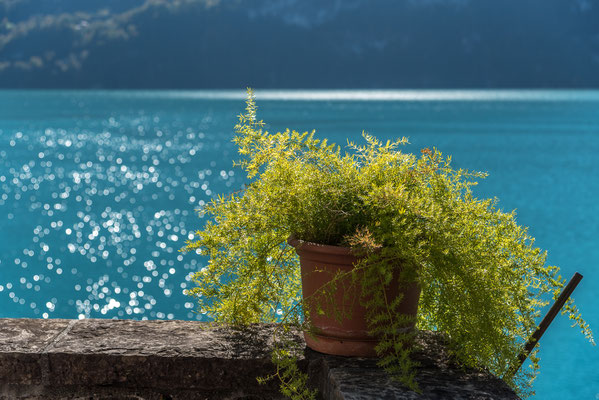 neben dem Eingang der Kirche Brienz