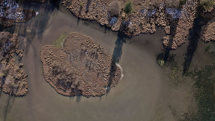 Schwimmende Moorinsel Drohnenaufnahme