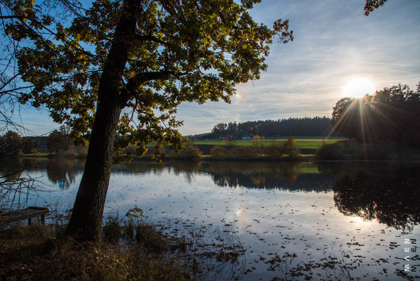 Schloss Schielleiten Teich