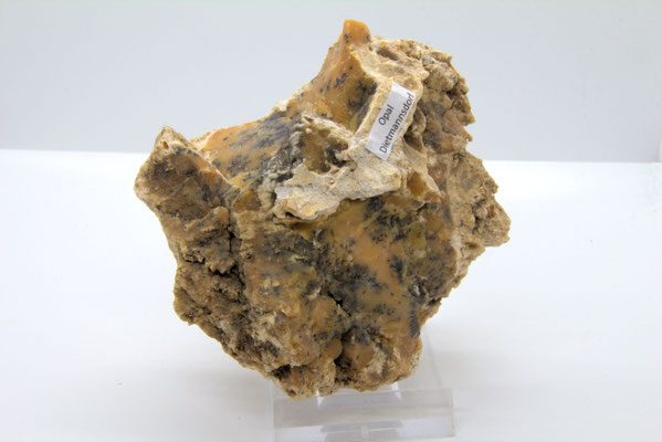 Dendritenopal: Eigenfund