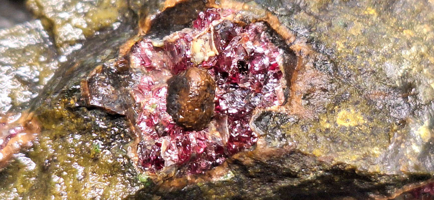 Pyrop-Wanzenau