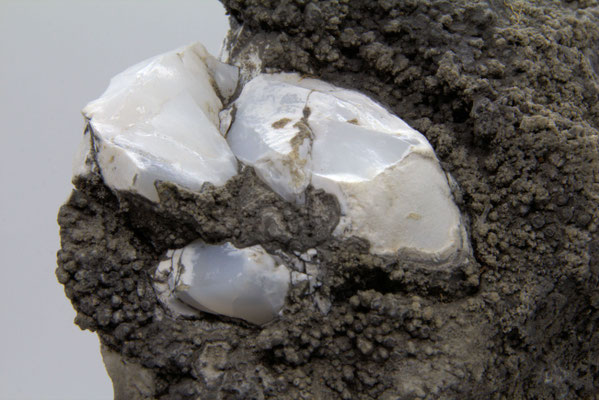 Opal