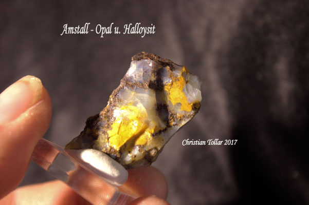 Opal und Halloysit