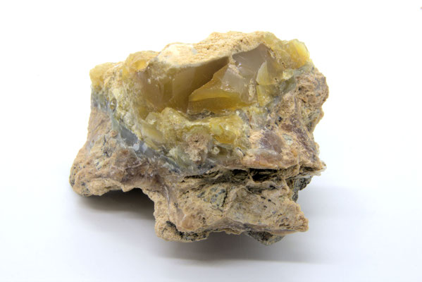 Opal: Erhalten (Zach)