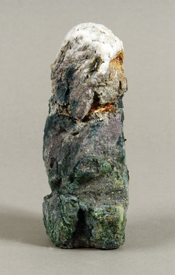 L'homme fossile
