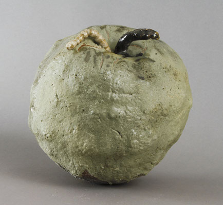 Apple worm 2. dia 24 cm