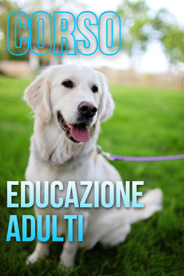 Educazione del cane provincia di Bergamo