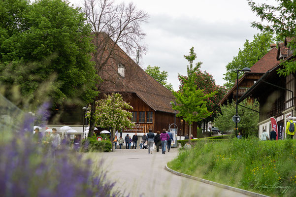 Schlossgut Münsingen