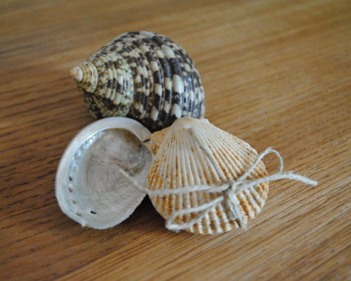 Mat-céc-0057