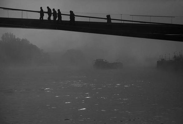 Les-ber-0110