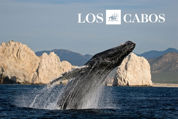 Visit Los cabos, Baja California