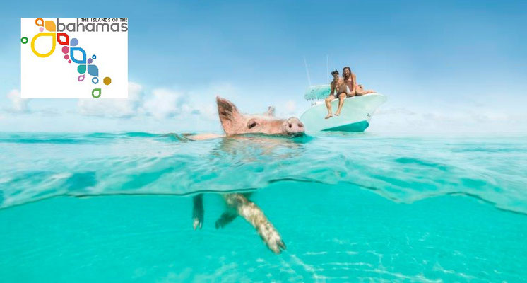 The Islands Of The Bahamas 