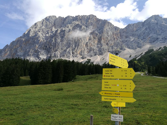 Schilderwald