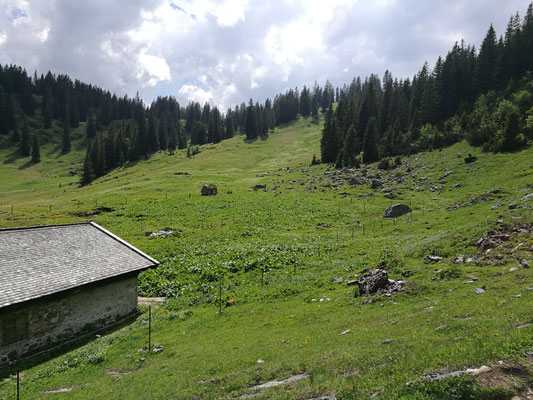 Schönleite