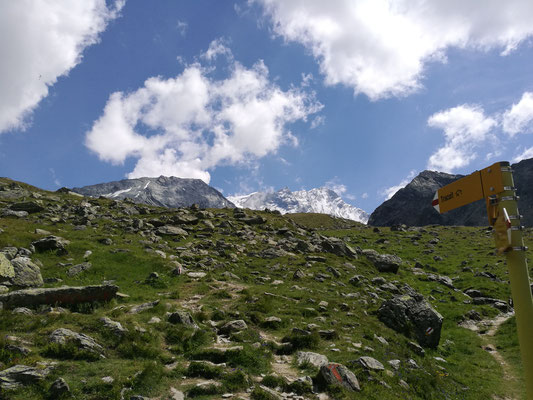 Blick zurück