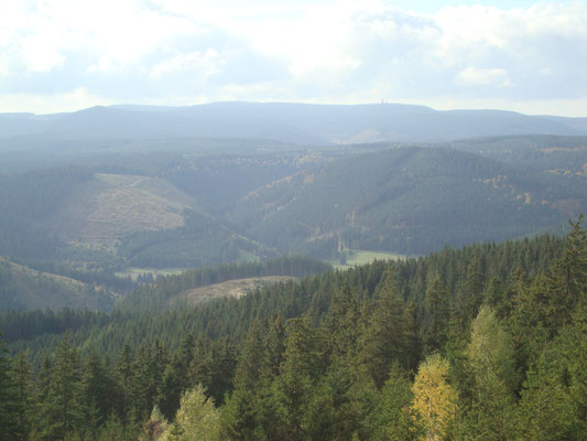 Thüringer Wald