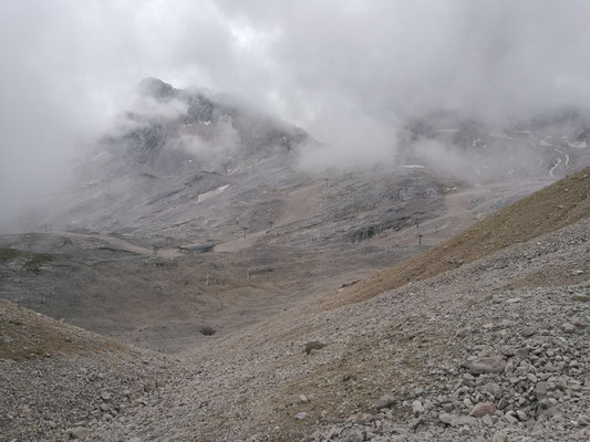 Zugspitzblatt