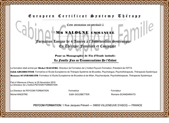 Certification Thérapie familiale et conjuguale (option enfants)