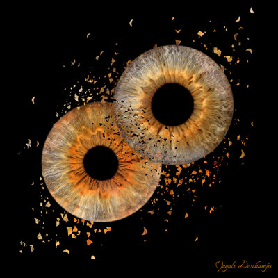Photo iris couple chateuneuf les martuigues