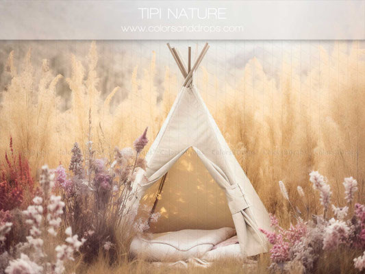 Fond Tipi nature