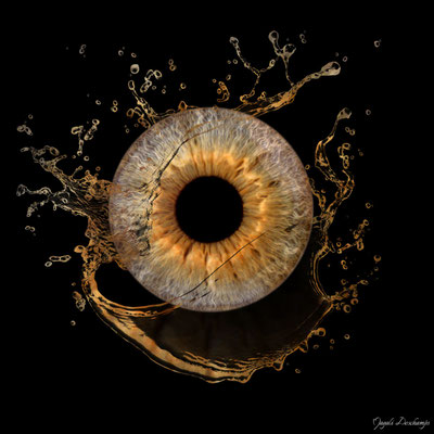 Photo iris effet solo marigane
