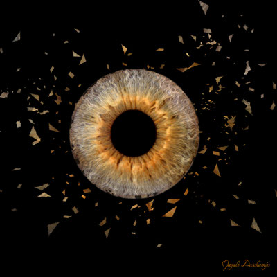 Photo iris artistique solo chateauneuf les martiques