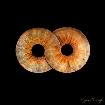 Photo d'iris Duo avec retouche