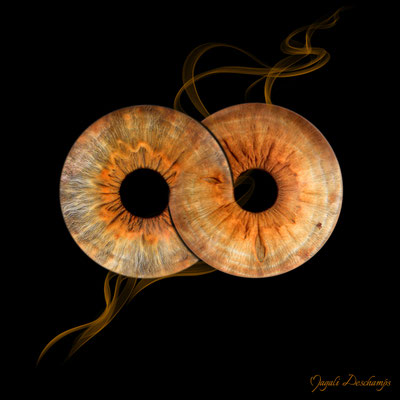 Photo d'iris Duo infini