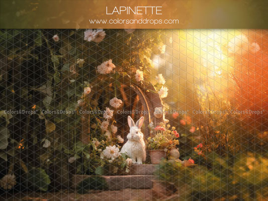 Fond Lapinette