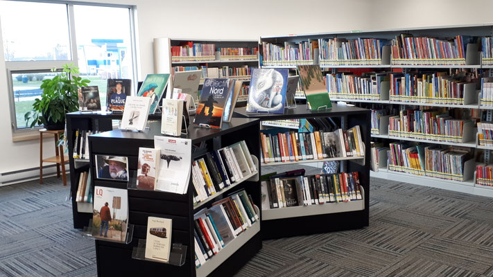 Bibliothèque BLanche-Lamontagne 