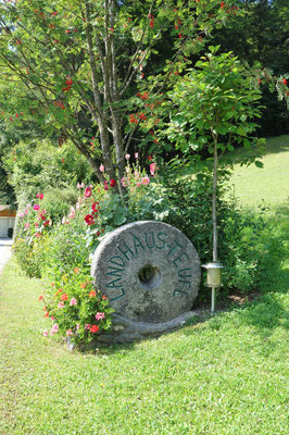 Blumenbeet der Teufls