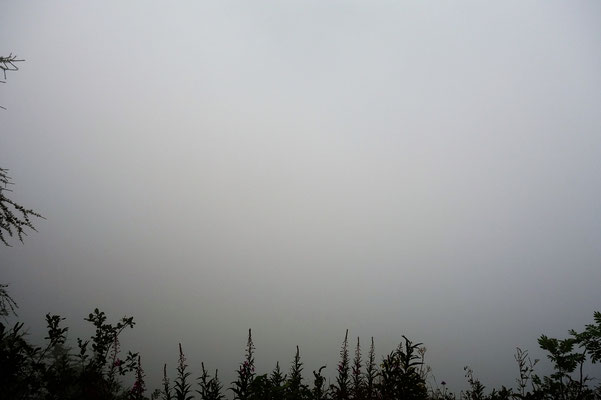 Umgeben vom Nebel