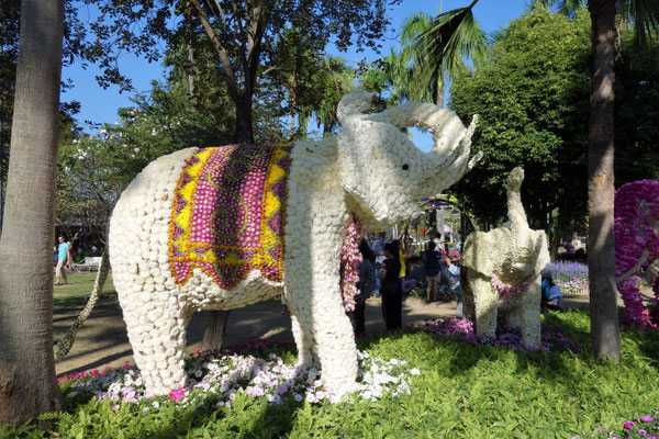 Ein weißer Elefant aus Blumen