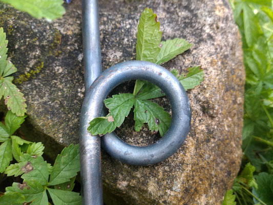 Ring Staudenstütze, Beetbegrenzung, Staudenhalter 