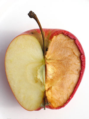 Fruto. Fotografía digital. 40 cm X 30 cm. 2009