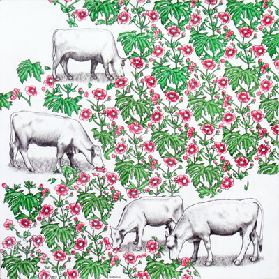 Campo Florido. Dibujo a lápiz sobre papel opalina. 35 cm X 35 cm. 2012.