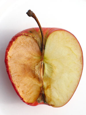 Fruto. Fotografía digital. 40 cm X 30 cm. 2009