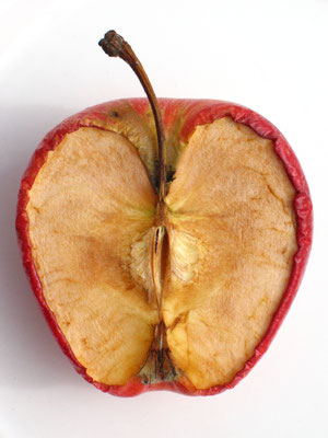 Fruto. Fotografía digital. 40 cm X 30 cm. 2009