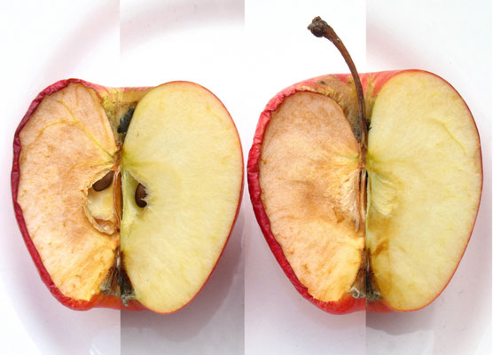 Fruto Paradójico.  Fotografía digital. 50 cm X 70 cm. 2009