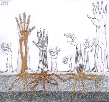 Árboles de arena.  Lápiz, arena y polvo de ladrillo sobre papel. 21 cm x 20cm. 2005.