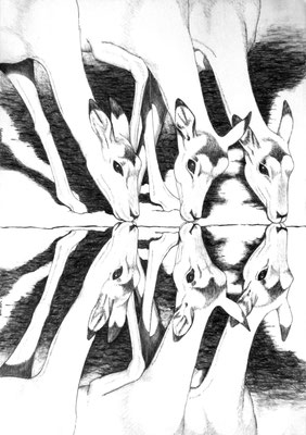 ¿Tres o seis?. Dibujo a lápiz sobre papel opalina.  45 cm X 31.5 cm.  2009
