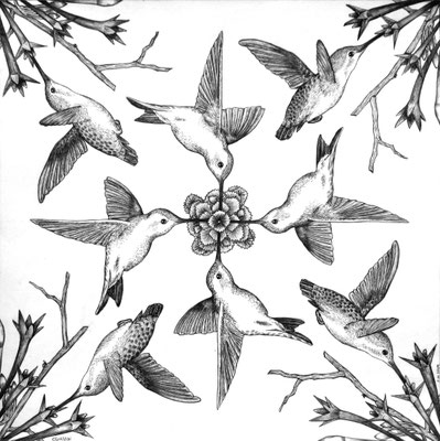 Simetría Colibrí. Dibujo a lápiz sobre papel opalina. 35 cm X 35 cm. 2009.