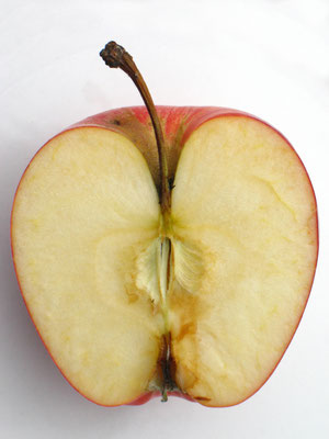 Fruto. Fotografía digital. 40 cm X 30 cm. 2009